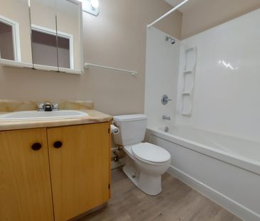 Beautiful 1 Bedroom Available Now! In Suite Laundry! - Photo 3