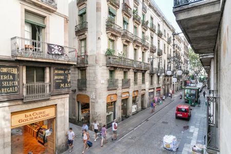 Carrer den Quintana, Barcelona, Catalonia 08002 - Photo 4