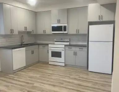 NEW BSMT SUITE | 1 BED & 1 BATH | TREE LINED STREET IN HIGH PARK! | BSMT 15104-110 Avenue NW, Edmonton - Photo 1