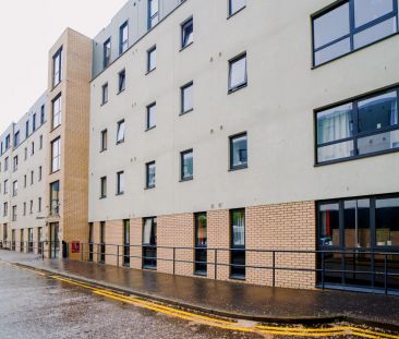 Gold Studio - Photo 6