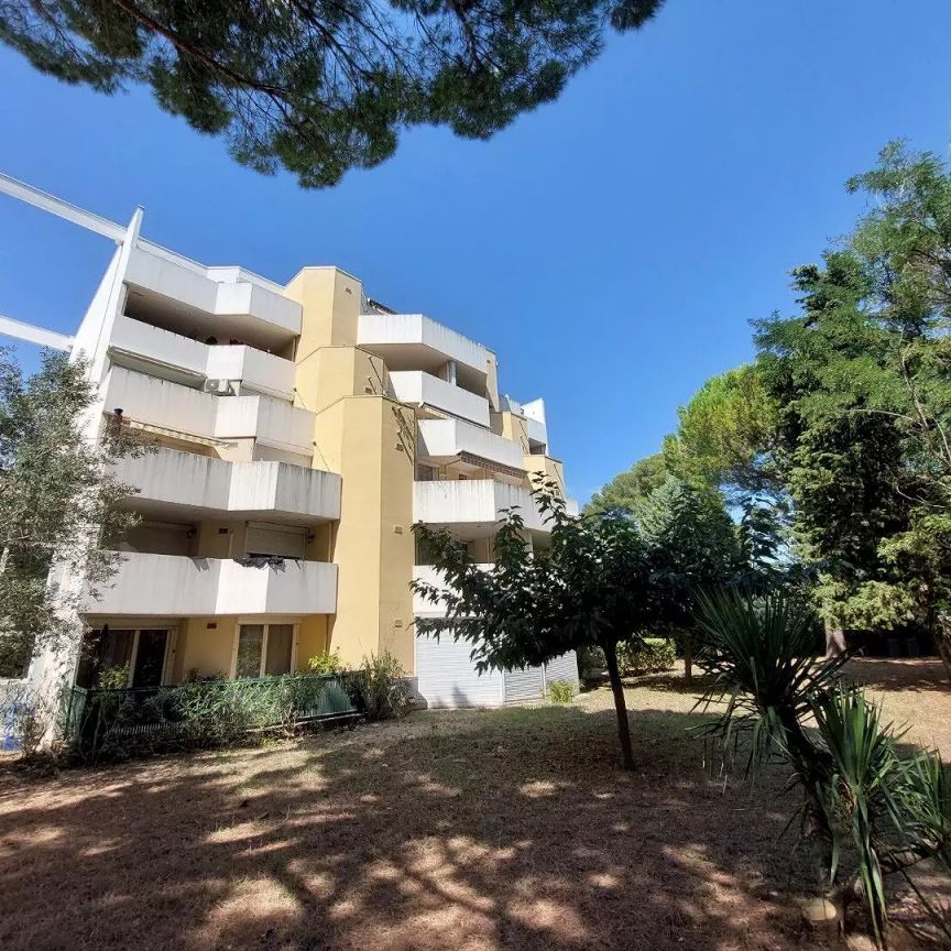 location Appartement T3 DE 64.95m² À MONTPELLIER - Photo 1