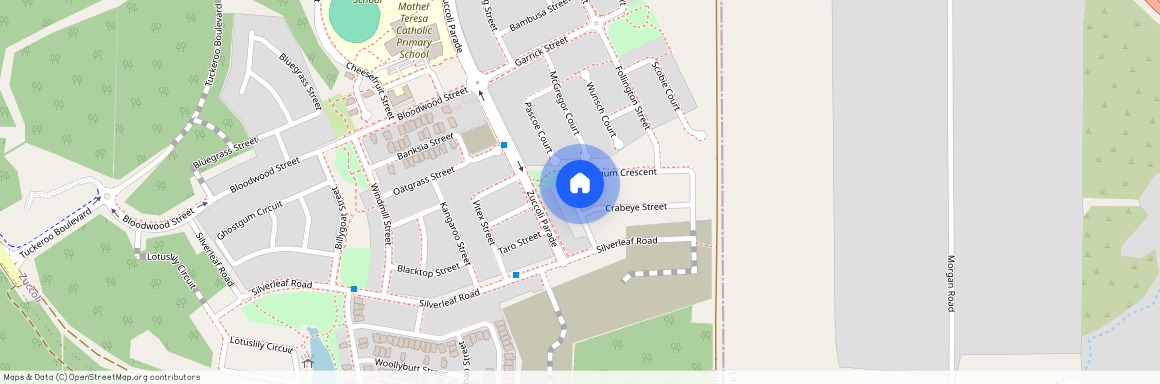 16 Whitegum Crescent, Zuccoli