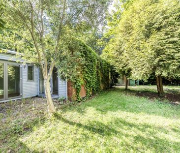 3 bedroom bungalow to rent - Photo 6