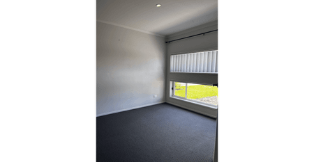 Huge yard for the kids to play - Photo 4