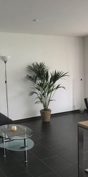 cozy apartment in friendly condominium - Photo 1