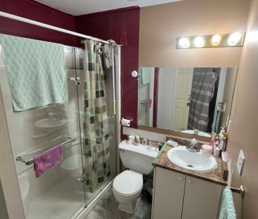 1 Bedroom Suite in Newton - Photo 4