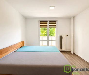 Krásná a moderní 3+1 se 2 lodžiemi u Komenského sadů – Slezská Ostrava - Fotografie 4