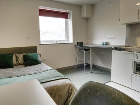 Studio to rent - Photo 3