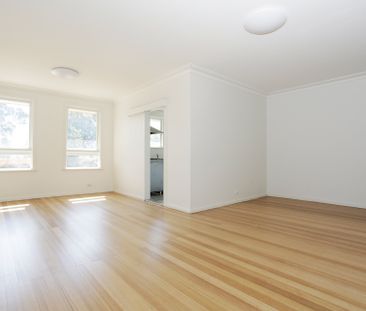 253 Whitehorse Road, Blackburn - Photo 5