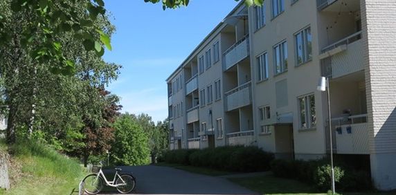 Dalgårdsgatan 3 B - Photo 2