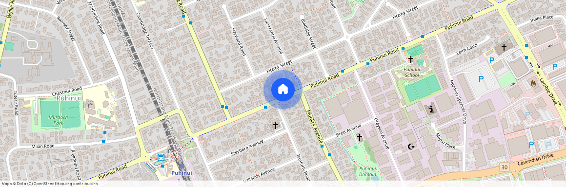 151 Puhinui Road, Papatoetoe, Manukau City