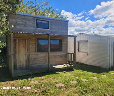 Freshly Renovated 4-Bedroom Home + Sleepout Cabin - Photo 5