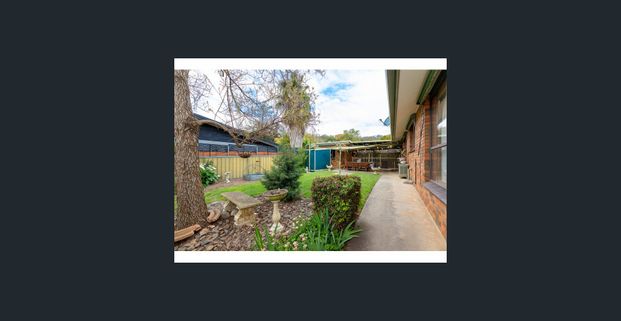 WODONGA I Thoughtfully Designed Living in a Leafy Neighbourhood - Photo 1