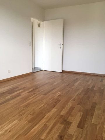 2.5 Zimmer, 55 m², EG - Photo 5