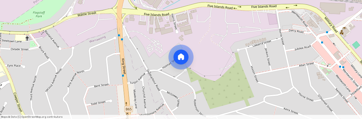 3 Holman Street, NSW 2505, Port Kembla