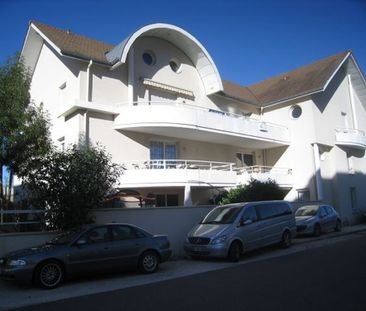 Dijon - Photo 6