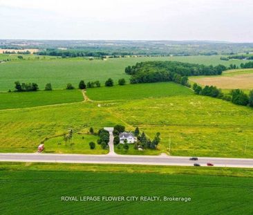 For Lease - 156097 Highway 10 N/A, Shelburne, Ontario - Photo 5