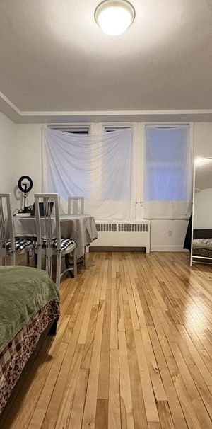 Grande Allée / Brown Appartement 3 ½ à Louer Montcalm / Saint-Sacrement Juillet 2026 - Photo 1