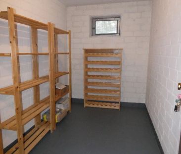 Singles aufgepasst! Renovierte 2-Zimmer-Wohnung mit Einbauküche und... - Foto 5