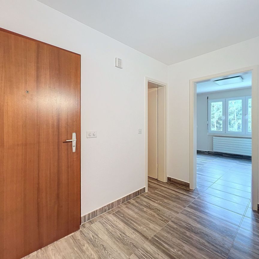 SPACIEUX 4½ PIÈCES - Environnement très calme! - Photo 1