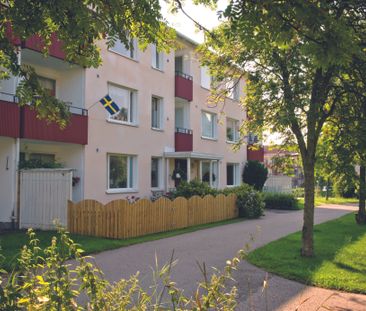 Mossebogatan, Sommen - Photo 2