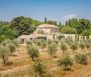 Proche Gordes - Magnifique Mas restauré au milieu des oliviers - Photo 5