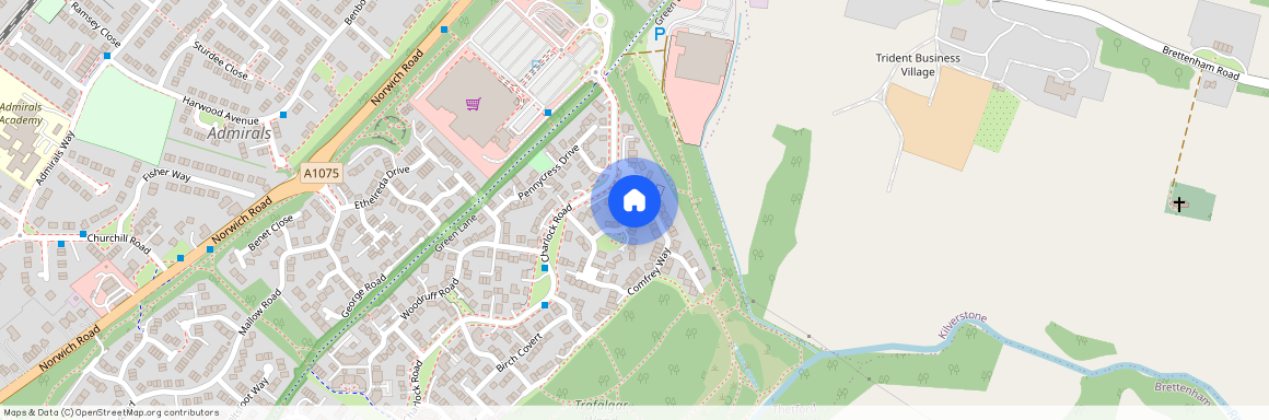 Comfrey Way, Thetford, IP24