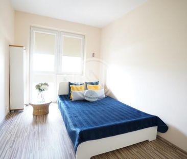 APARTAMENT PRZY PARKU SIENKIEWICZA - Photo 2