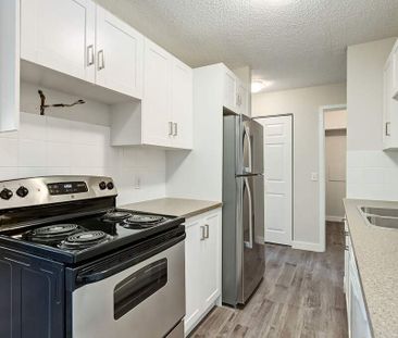 Renovated Suite - 2 Bedroom - Photo 1