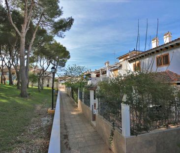3 room luxury House for rent in Pilar de la Horadada, Spain - Photo 2