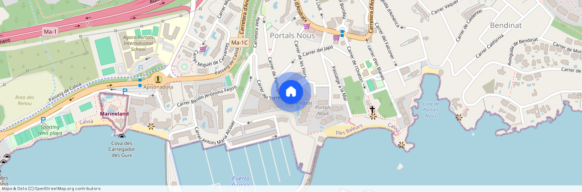 8 Carrer Torrent, Portals Nous, Balearic Islands 07181, Portals-Nous