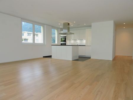 Modern apartment with large balcony at the foot of the Rigi - Photo 3