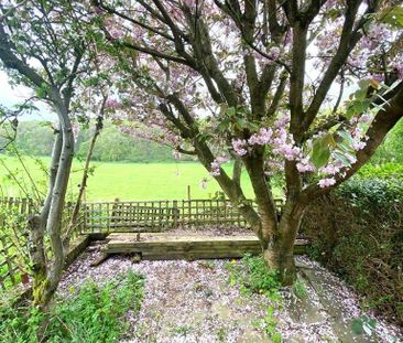 3 bedroom terraced house to rent - Photo 6