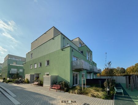 INA - Pärchenwohnung mit Freifläche nähe Wasserspielplatz Leberberg - Photo 4
