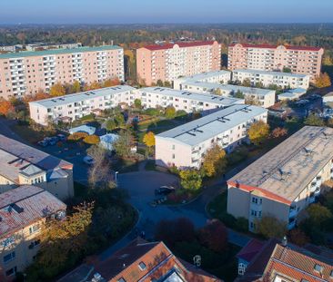 Skorpionens Gata 532, Brandbergen - Photo 5