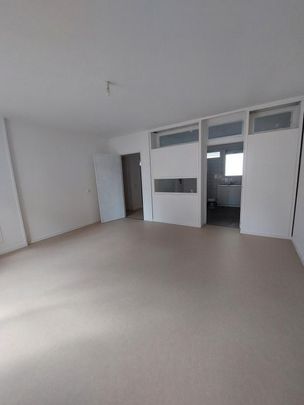 T3 DUPLEX - PLACE EDMOND ARNAUD - GRENOBLE - Photo 1