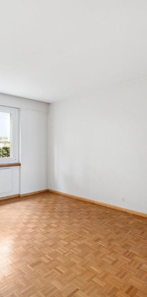 1 Zimmer, 45 m², EG - Photo 1