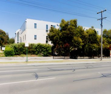 Standard Studio - Photo 5