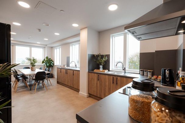 Flat share to rent - Photo 1