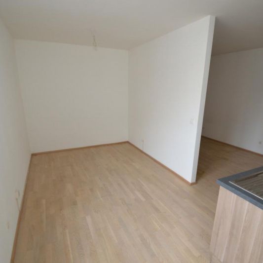 Jakomini – 39m² – Erstbezugscharakter – Wohnen am Murufer – Singlewohnung - Photo 1