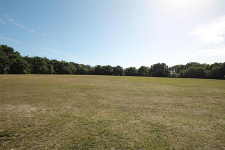 3 bedroom detached bungalow to rent - Photo 3