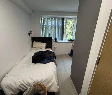 Silver Plus Studio - Photo 3