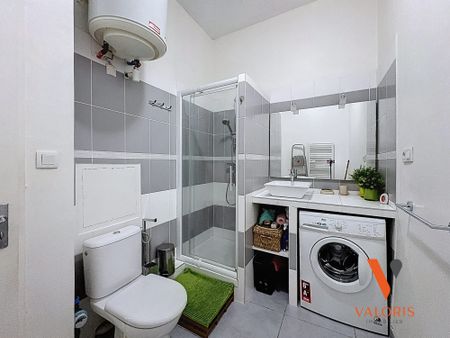 Location Appartement 1 pièce 29m² GRENOBLE 38000 - Photo 5