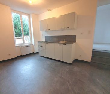 Location Appartement 1 pièce 25m² CONDRIEU 69420 - Photo 2