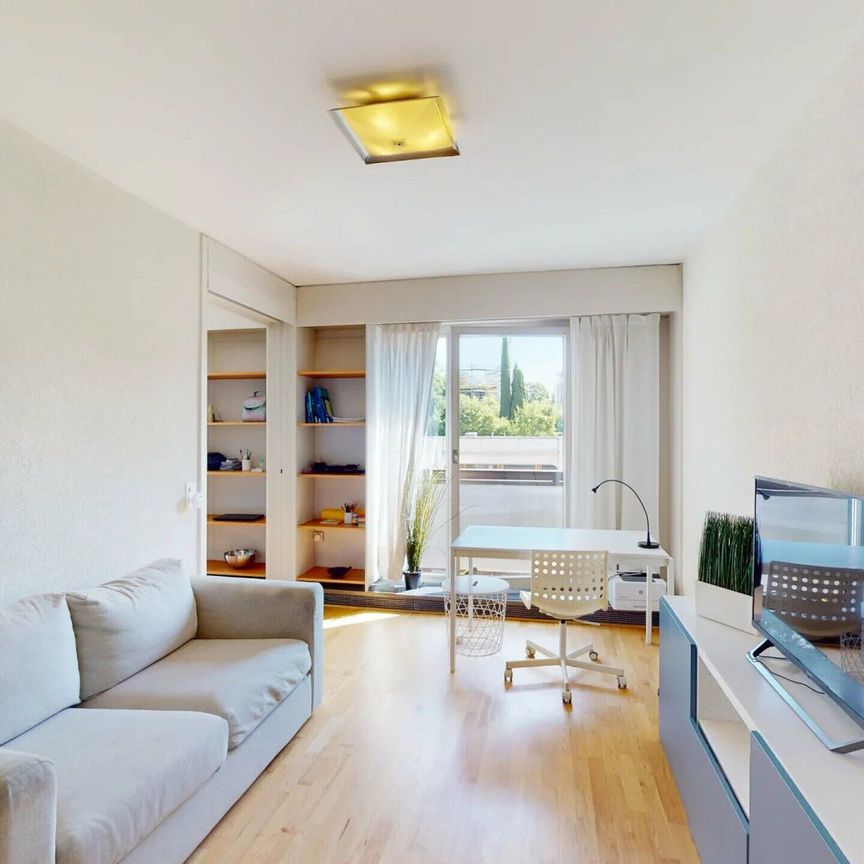 Furnished 3-room apartment, close to the United Nations - Geneva - Photo 1