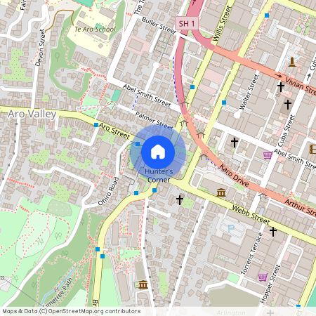 310 Willis Street, Aro Valley, Wellington