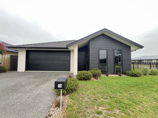 12 Chilton Drive, Rolleston - Photo 1