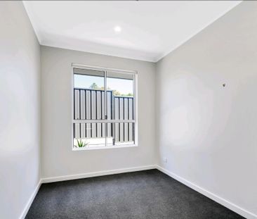 11 Neath Avenue, Dover Gardens SA - Photo 5