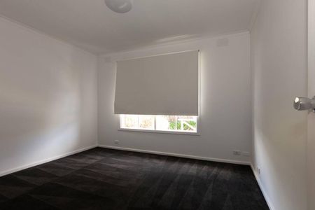 FRESHLY PAINTED l 250m TO THE BEACH l BRAND NEW BATHROOM - Photo 3