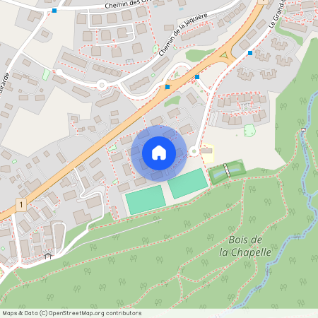 GRAND CHEMIN 35, 1066, Epalinges